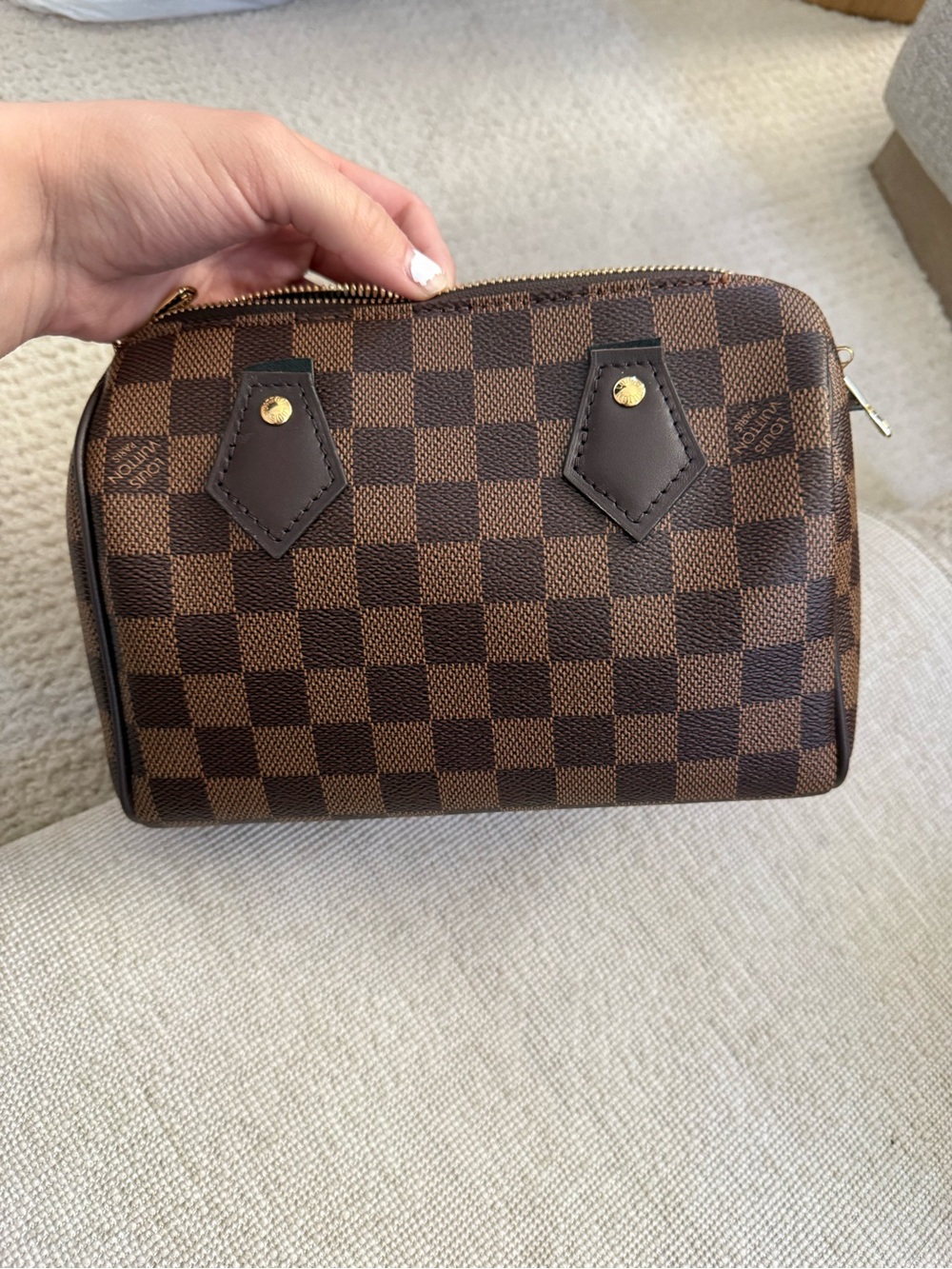 Louis Vuitton Brown Damier Ebene Speedy 20